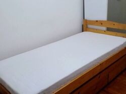 Blk 203A Punggol Field (Punggol), HDB 4 Rooms #613270061
